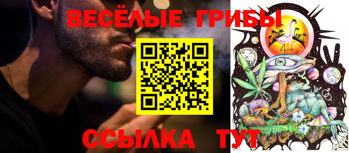 Галлюциногенные грибы Magic Shrooms  Вход с VPN  Крымск 